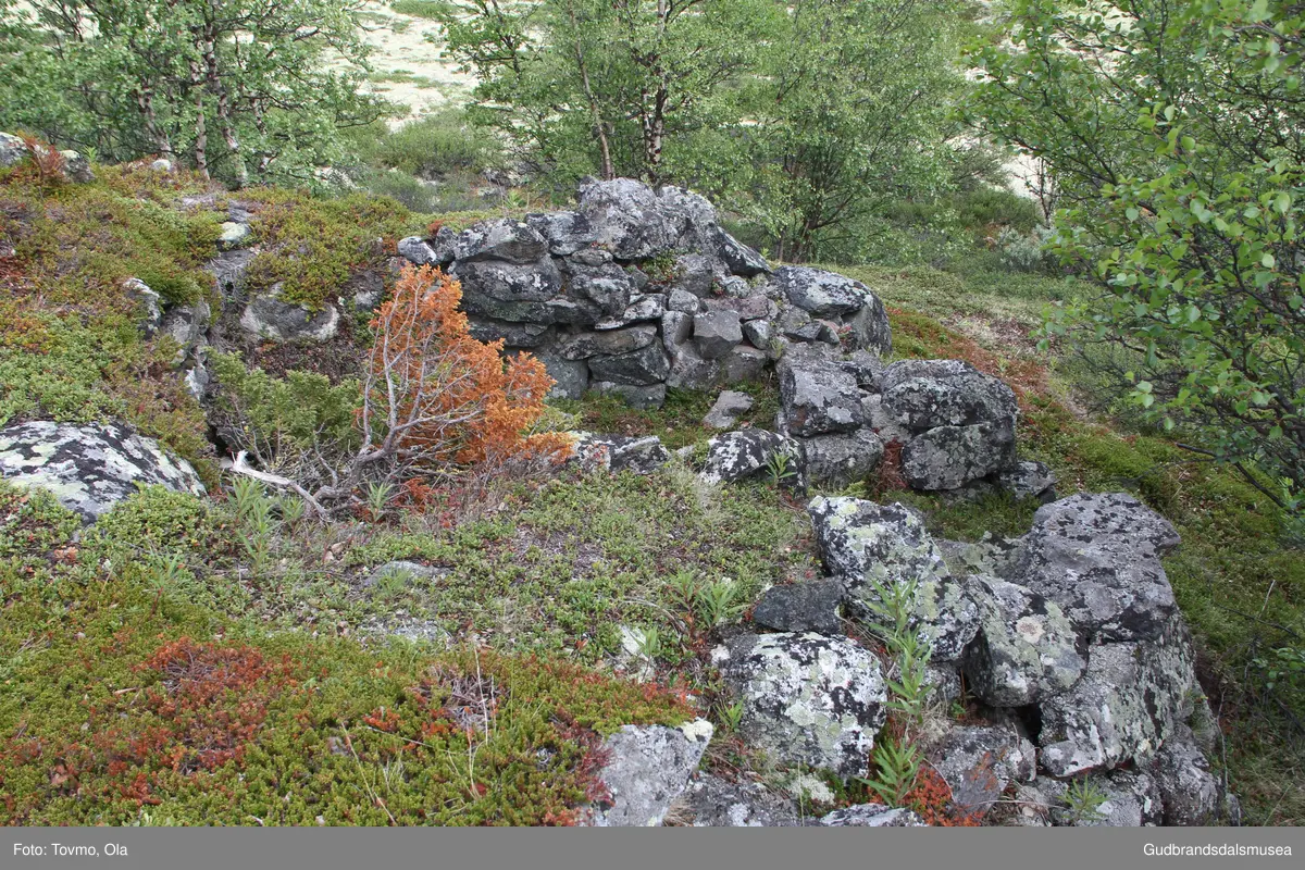 Restar etter ei gamal steinbu ved vegen inn til Toftesetra ved Avsjøen på Dovrefjell.