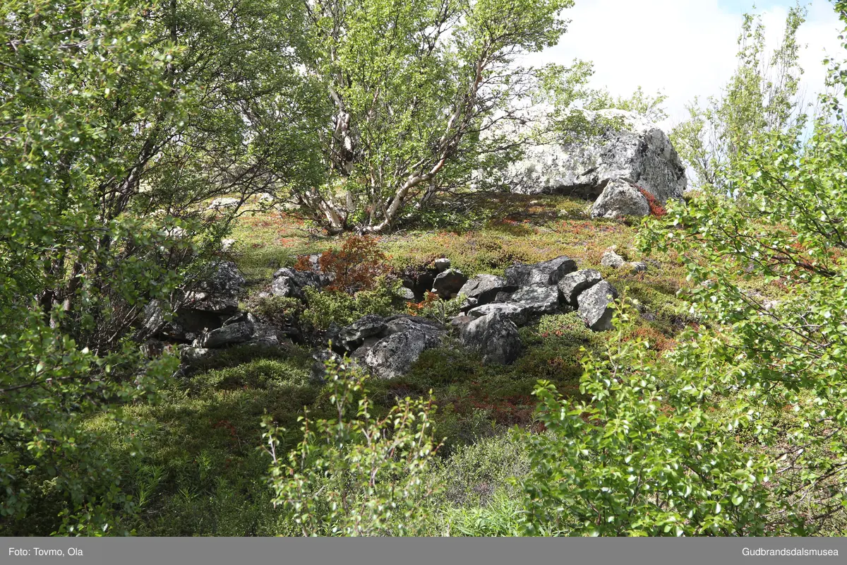 Restar etter ei gamal steinbu ved vegen inn til Toftesetra ved Avsjøen på Dovrefjell.