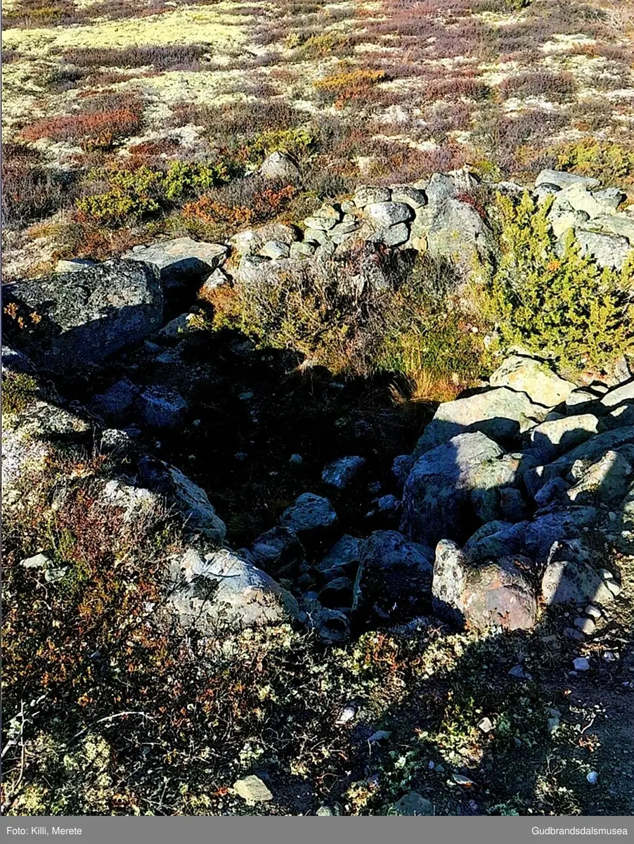 Steinmurar (gamal tuft eller militært?) rett under skulpturen "Mental genbank" på Hjerkinn.