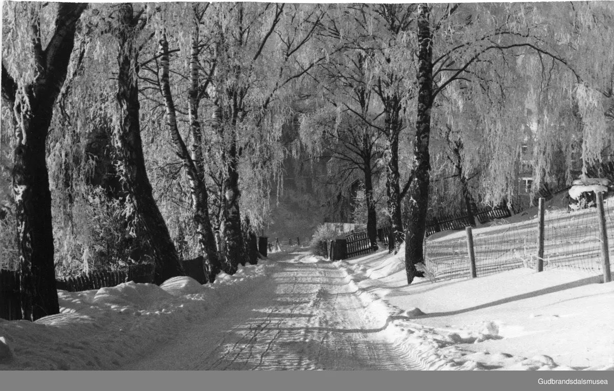 Vågå.  
Idyllisk innkjørsel til Sygard Blessom i Vågå 1975.
Fotosamling etter Kjell Andersen Vågå.  





















































































Fotosamlinga etter Kjell Andersen, Vågå