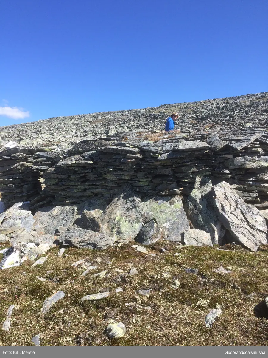 Steinbu om lag 500 m vest for toppen av Avsjøhøe på Dovrefjell.