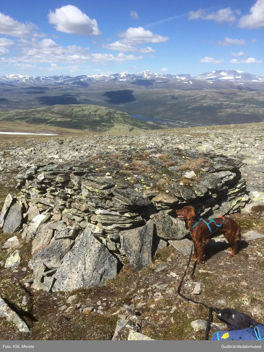 Steinbu om lag 500 m vest for toppen av Avsjøhøe på Dovrefjell.