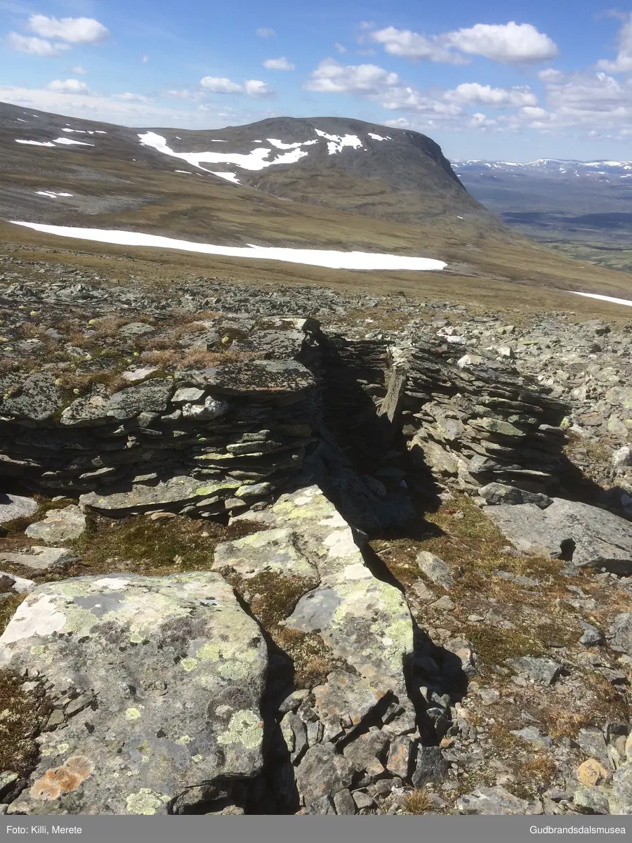 Steinbu om lag 500 m vest for toppen av Avsjøhøe på Dovrefjell.