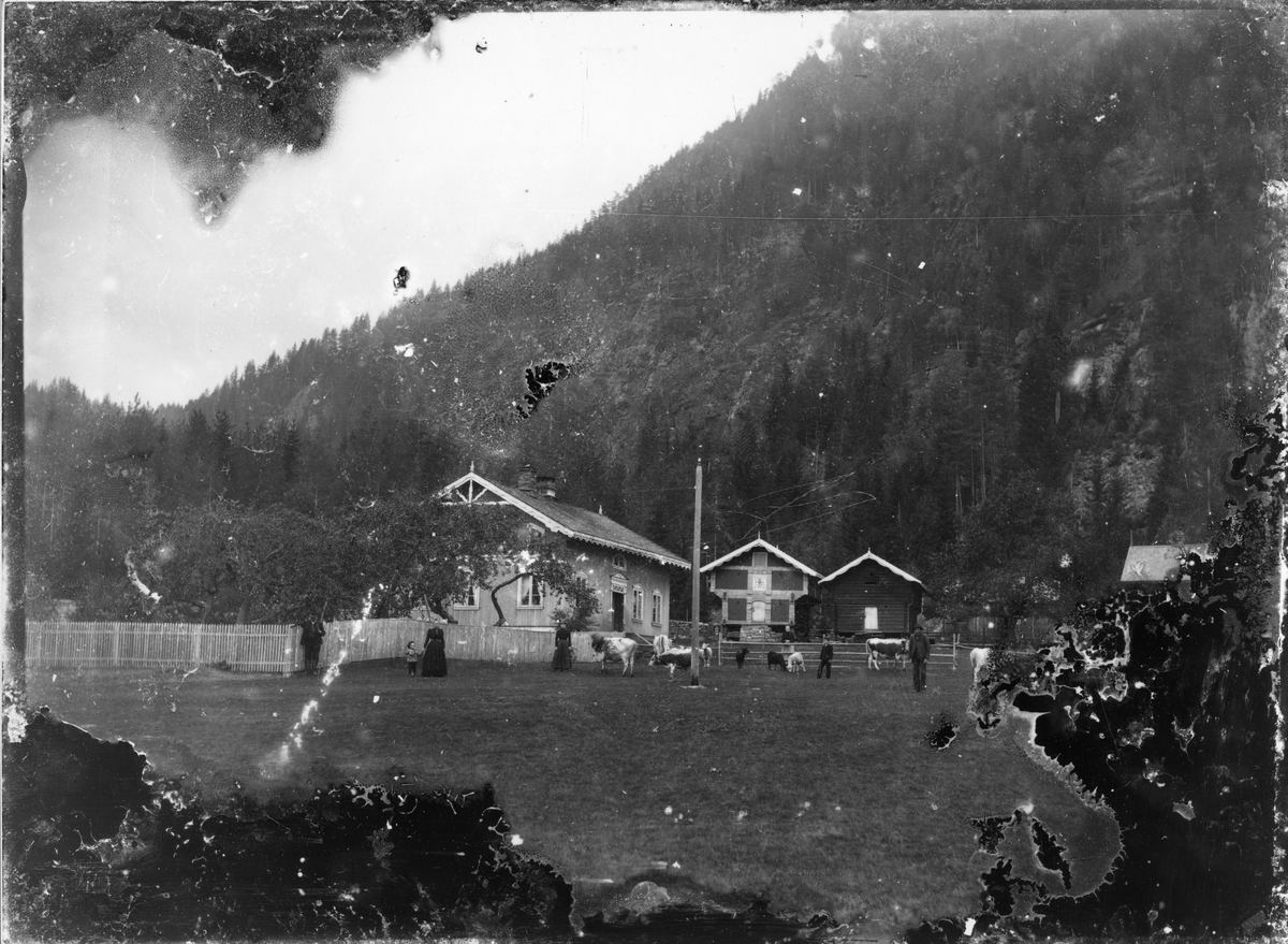 Foto av bebyggelse, tidlig 1900-tallet

Fotosamling etter Øystein O. Kaasa. (1877-1923). Gruppeportrett, Telemark folkehøyskole. Født i Bø i Telemark på husmannsplassen Kåsa under Vreim. Han gikk først i lære som møbelsnekker, forsøkte seg senere som anleggsarbeider og startet etterhvert Solberg Fotoatelie i Seljord, (1901-1923). Giftet seg i 1920 med Sigrid Pettersen fra Stavern. Han ble av mange kalt "Telemarksfotografen".
Kaasa fikk to sønner Olav Fritjof (1921-1987) og Erling Hartmann f 1923. Olav Fritjof ble fotograf som sin far, og drev Solberg Foto i Staven 1949, Sarpsborg 1954 og Larvik fra 1960. Hans sønn igjen John Petter Solberg drev firmaet frem til 1990.