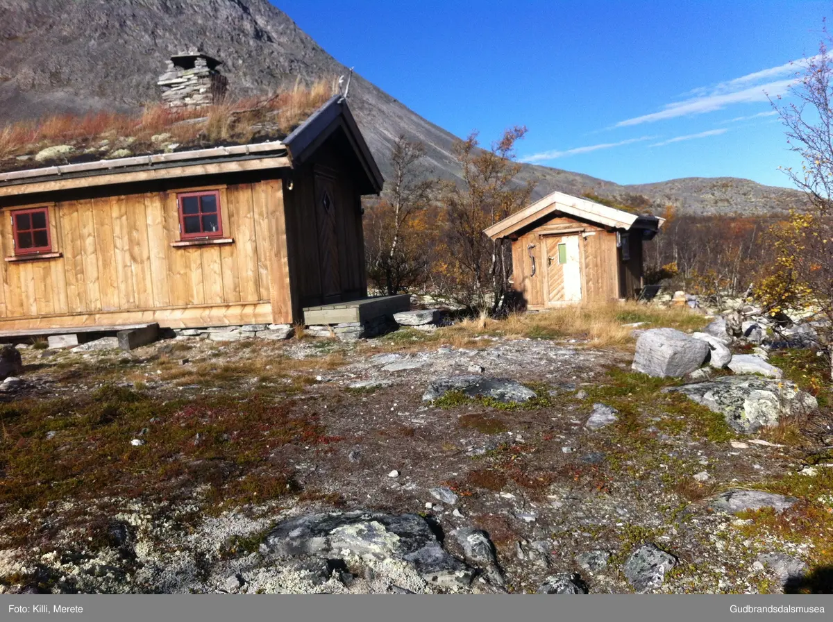 Stygghøbue i skogen rett aust for Styggehø i Dørålen i Rondane.