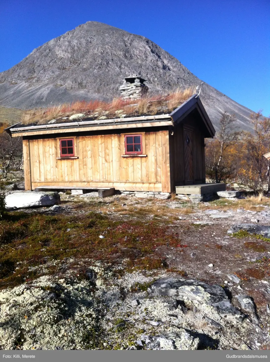 Stygghøbue i skogen rett aust for Styggehø i Dørålen i Rondane.