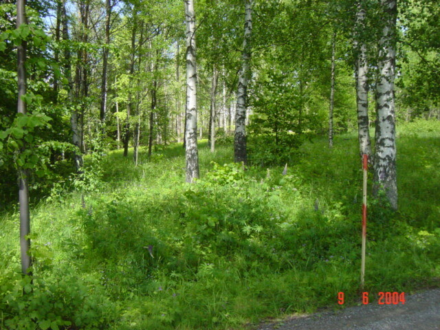 Sörliden. Bilderna visar hur villa området vid Allevägen växer fram från 2004 till 2006. Stenmurarna som syns på bilderna är rester efter ekonomibyggnader som hörde till Nykvarns gård. Området kallas Oxvreten och har lånat namnet till idrottsklubben som har sin klubbstuga och elljusspår direkt norr om villaområdet 
 


