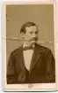 Porträtt av en okänd ung man med mustasch.