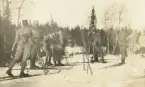 Officersövning i Storlien, Jämtland, 1919. 
Samling på skidor.