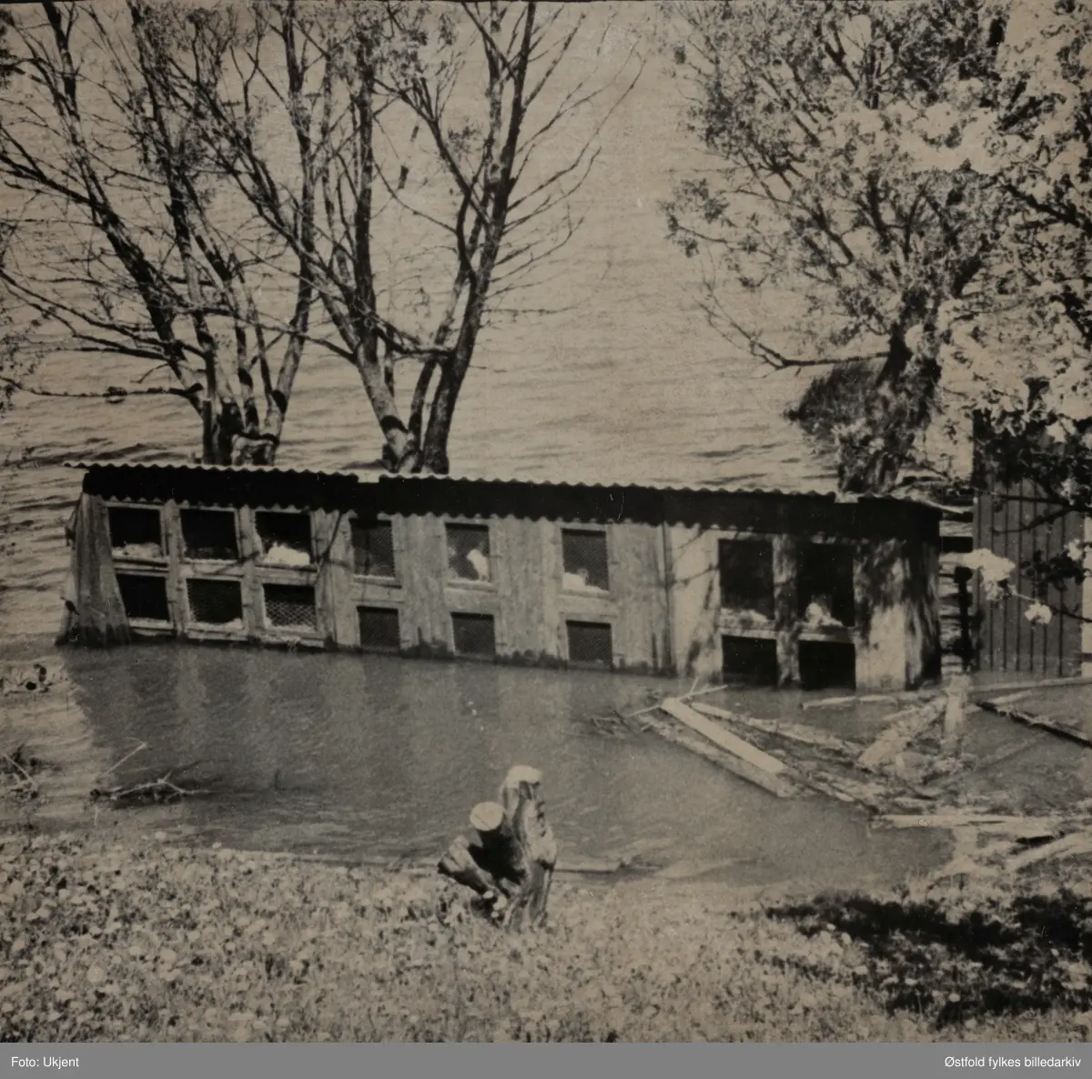 Flom i Visterflo, Rolvsøy 1966-1967. Kaninhus under vann.