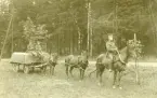 Kaknäs år 1904. Pontonvagn sannolikt till Krigsbro m/1875, dragen av ett trespann. Ing 1.