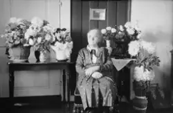 interiør, stue, blomster, kvinne, fødselsdag