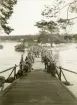 Fältbroarbete i Dalälven vid Laxön år 1905. Till höger på bron sergeant Widén.
