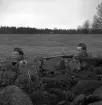 Hemvärnet. 20/4, 1941.
Några hemvärnssoldater har lagt sig i skydd bakom en 
stengärdesgård.