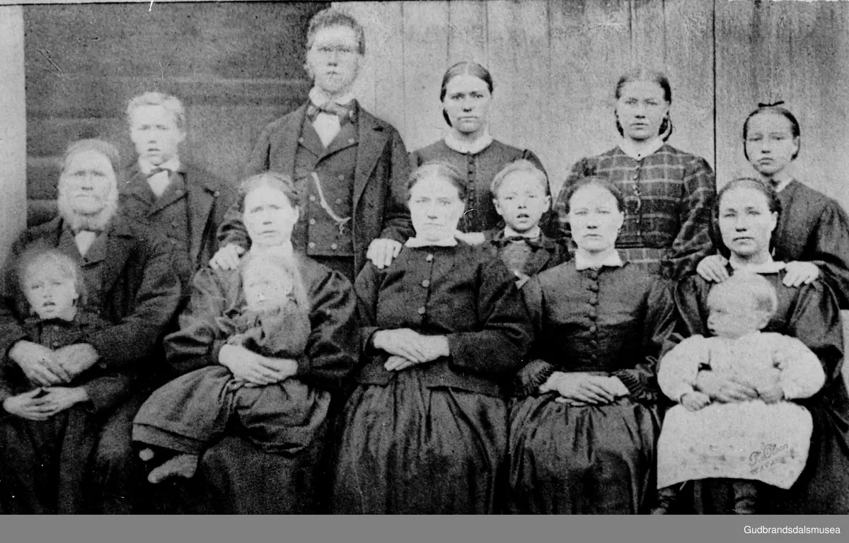 Familien på sygard Gjeilo ca. 1875