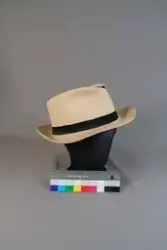 Hatt