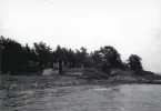 Strandkant på Limön utan vass och havtorn med stuga och träd längs med stranden, 1946.