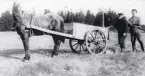 Potatisupptagning med Wilhelm Grönqvist och drängen Nestor Zetterberg samt häst med kärra för potatisen.