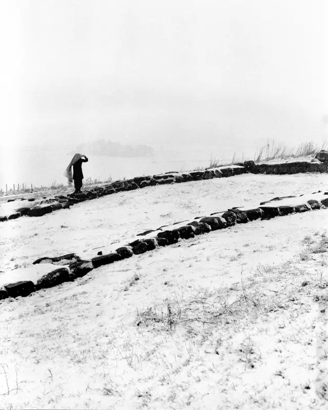 main article image