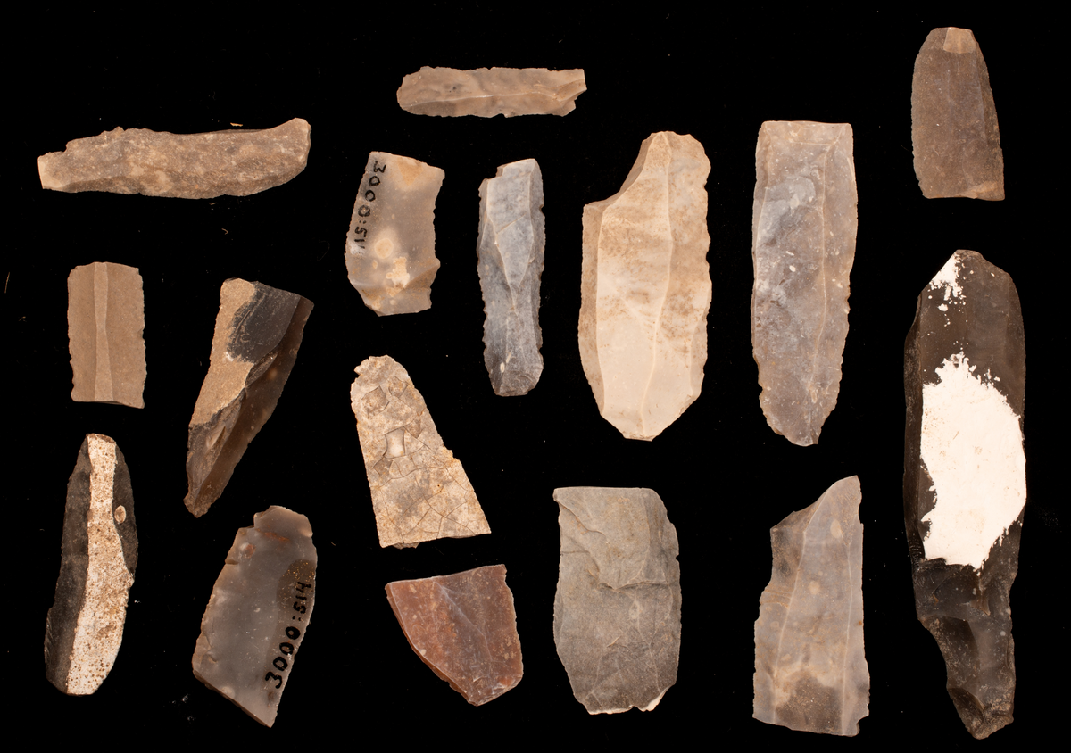 Ett rikt boplatsmaterial från mellanneolitikum. Materialet utgörs av:
Avslag och spånfragment, 202 st
Avslagsskrapa, 3 st
Dolkfragmeent, 1 st
Dubbelskrapa, 1 st
Keramik, mynning, dekorerad. 17 st
Keramik, buk dekorerad, 25 st
Keramik, buk, 27 st
Knacksten, 3 st
Knackstensfragment, 1 st
Kärna, 12 st
Malstensfragment, 1 st
Mikrospån, 1 st
Spånkärna, fragment, 8 st
Spånkärna, cylindrisk, 15 st
Spånpilspets, 7 st
Spånskrapor, 22 st
Sticklar, 4 st
Yxfragment bergart, 3 st
Yxfragment flinta, 9 st.
Slipsten, stor, 1 st

Benmaterial:
Fisk: tonfisk, torsk, lyrtorsk, gråsej, vitling, långa
Havsdäggdjur: Vitnosdelfin, tumlare, vikare, knubbsäl, gråsäl, grönlandssäl
Landvilt: älg, kronhjort, brunbjörn, bäver, hund/varg, vildsvin/tamgris
Tamdjur: nötkreatur, hund/varg, vildsvin/tamgris

Övrigt:
Mollusker, 2 askar
Kolprov, 1 ask