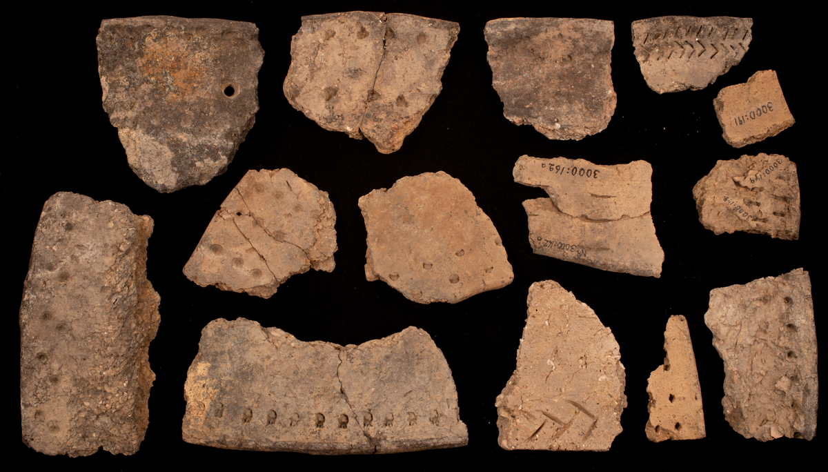 Ett rikt boplatsmaterial från mellanneolitikum. Materialet utgörs av:
Avslag och spånfragment, 202 st
Avslagsskrapa, 3 st
Dolkfragmeent, 1 st
Dubbelskrapa, 1 st
Keramik, mynning, dekorerad. 17 st
Keramik, buk dekorerad, 25 st
Keramik, buk, 27 st
Knacksten, 3 st
Knackstensfragment, 1 st
Kärna, 12 st
Malstensfragment, 1 st
Mikrospån, 1 st
Spånkärna, fragment, 8 st
Spånkärna, cylindrisk, 15 st
Spånpilspets, 7 st
Spånskrapor, 22 st
Sticklar, 4 st
Yxfragment bergart, 3 st
Yxfragment flinta, 9 st.
Slipsten, stor, 1 st

Benmaterial:
Fisk: tonfisk, torsk, lyrtorsk, gråsej, vitling, långa
Havsdäggdjur: Vitnosdelfin, tumlare, vikare, knubbsäl, gråsäl, grönlandssäl
Landvilt: älg, kronhjort, brunbjörn, bäver, hund/varg, vildsvin/tamgris
Tamdjur: nötkreatur, hund/varg, vildsvin/tamgris

Övrigt:
Mollusker, 2 askar
Kolprov, 1 ask