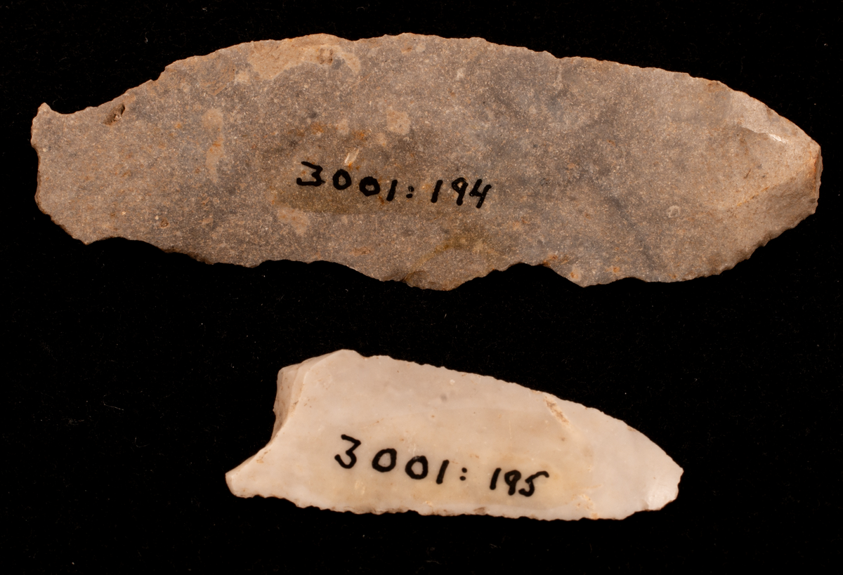 Ett rikt boplatsmaterial från mellanneolitikum. Materialet utgörs av:
Avslag och spånfragment, 202 st
Avslagsskrapa, 3 st
Dolkfragmeent, 1 st
Dubbelskrapa, 1 st
Keramik, mynning, dekorerad. 17 st
Keramik, buk dekorerad, 25 st
Keramik, buk, 27 st
Knacksten, 3 st
Knackstensfragment, 1 st
Kärna, 12 st
Malstensfragment, 1 st
Mikrospån, 1 st
Spånkärna, fragment, 8 st
Spånkärna, cylindrisk, 15 st
Spånpilspets, 7 st
Spånskrapor, 22 st
Sticklar, 4 st
Yxfragment bergart, 3 st
Yxfragment flinta, 9 st.
Slipsten, stor, 1 st

Benmaterial:
Fisk: tonfisk, torsk, lyrtorsk, gråsej, vitling, långa
Havsdäggdjur: Vitnosdelfin, tumlare, vikare, knubbsäl, gråsäl, grönlandssäl
Landvilt: älg, kronhjort, brunbjörn, bäver, hund/varg, vildsvin/tamgris
Tamdjur: nötkreatur, hund/varg, vildsvin/tamgris

Övrigt:
Mollusker, 2 askar
Kolprov, 1 ask