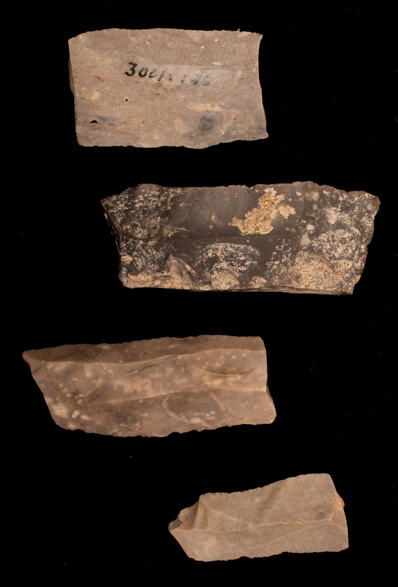 Ett rikt boplatsmaterial från mellanneolitikum. Materialet utgörs av:
Avslag och spånfragment, 202 st
Avslagsskrapa, 3 st
Dolkfragmeent, 1 st
Dubbelskrapa, 1 st
Keramik, mynning, dekorerad. 17 st
Keramik, buk dekorerad, 25 st
Keramik, buk, 27 st
Knacksten, 3 st
Knackstensfragment, 1 st
Kärna, 12 st
Malstensfragment, 1 st
Mikrospån, 1 st
Spånkärna, fragment, 8 st
Spånkärna, cylindrisk, 15 st
Spånpilspets, 7 st
Spånskrapor, 22 st
Sticklar, 4 st
Yxfragment bergart, 3 st
Yxfragment flinta, 9 st.
Slipsten, stor, 1 st

Benmaterial:
Fisk: tonfisk, torsk, lyrtorsk, gråsej, vitling, långa
Havsdäggdjur: Vitnosdelfin, tumlare, vikare, knubbsäl, gråsäl, grönlandssäl
Landvilt: älg, kronhjort, brunbjörn, bäver, hund/varg, vildsvin/tamgris
Tamdjur: nötkreatur, hund/varg, vildsvin/tamgris

Övrigt:
Mollusker, 2 askar
Kolprov, 1 ask