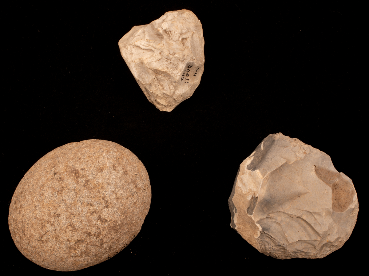 Ett rikt boplatsmaterial från mellanneolitikum. Materialet utgörs av:
Avslag och spånfragment, 202 st
Avslagsskrapa, 3 st
Dolkfragmeent, 1 st
Dubbelskrapa, 1 st
Keramik, mynning, dekorerad. 17 st
Keramik, buk dekorerad, 25 st
Keramik, buk, 27 st
Knacksten, 3 st
Knackstensfragment, 1 st
Kärna, 12 st
Malstensfragment, 1 st
Mikrospån, 1 st
Spånkärna, fragment, 8 st
Spånkärna, cylindrisk, 15 st
Spånpilspets, 7 st
Spånskrapor, 22 st
Sticklar, 4 st
Yxfragment bergart, 3 st
Yxfragment flinta, 9 st.
Slipsten, stor, 1 st

Benmaterial:
Fisk: tonfisk, torsk, lyrtorsk, gråsej, vitling, långa
Havsdäggdjur: Vitnosdelfin, tumlare, vikare, knubbsäl, gråsäl, grönlandssäl
Landvilt: älg, kronhjort, brunbjörn, bäver, hund/varg, vildsvin/tamgris
Tamdjur: nötkreatur, hund/varg, vildsvin/tamgris

Övrigt:
Mollusker, 2 askar
Kolprov, 1 ask