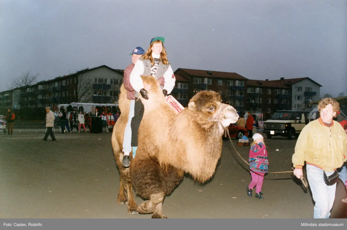 Jitex BK knallemarknad på Frejaplan i Mölndal, oktober 1993. Kamelridning på marknaden.