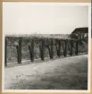 Bilden visar avrättningsplatsen i koncentrationslägret Fort Breendonk i Belgien. En rad träpålar är uppställt framför en jordvall.