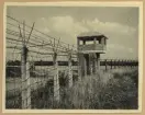 Bilden visar en stängsel med taggtråd och ett vakttorn i konsentrationslägret Fort Breendonk i Belgien.