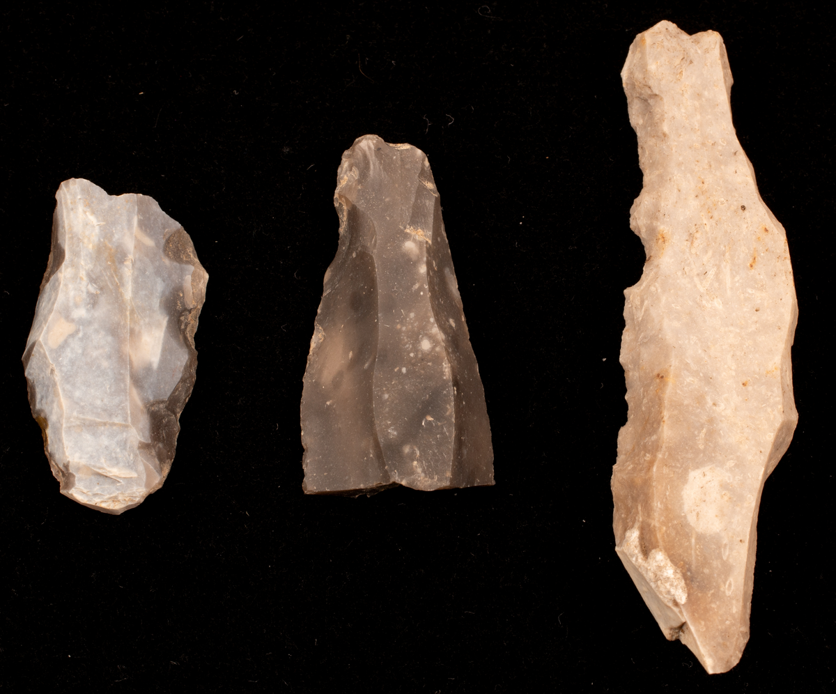 Ett rikt boplatsmaterial från mellanneolitikum. Materialet utgörs av:
Avslag och spånfragment, 202 st
Avslagsskrapa, 3 st
Dolkfragmeent, 1 st
Dubbelskrapa, 1 st
Keramik, mynning, dekorerad. 17 st
Keramik, buk dekorerad, 25 st
Keramik, buk, 27 st
Knacksten, 3 st
Knackstensfragment, 1 st
Kärna, 12 st
Malstensfragment, 1 st
Mikrospån, 1 st
Spånkärna, fragment, 8 st
Spånkärna, cylindrisk, 15 st
Spånpilspets, 7 st
Spånskrapor, 22 st
Sticklar, 4 st
Yxfragment bergart, 3 st
Yxfragment flinta, 9 st.
Slipsten, stor, 1 st

Benmaterial:
Fisk: tonfisk, torsk, lyrtorsk, gråsej, vitling, långa
Havsdäggdjur: Vitnosdelfin, tumlare, vikare, knubbsäl, gråsäl, grönlandssäl
Landvilt: älg, kronhjort, brunbjörn, bäver, hund/varg, vildsvin/tamgris
Tamdjur: nötkreatur, hund/varg, vildsvin/tamgris

Övrigt:
Mollusker, 2 askar
Kolprov, 1 ask
