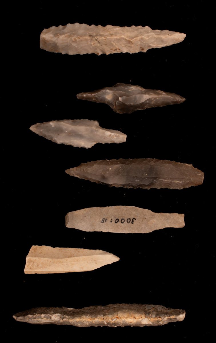 Ett rikt boplatsmaterial från mellanneolitikum. Materialet utgörs av:
Avslag och spånfragment, 202 st
Avslagsskrapa, 3 st
Dolkfragmeent, 1 st
Dubbelskrapa, 1 st
Keramik, mynning, dekorerad. 17 st
Keramik, buk dekorerad, 25 st
Keramik, buk, 27 st
Knacksten, 3 st
Knackstensfragment, 1 st
Kärna, 12 st
Malstensfragment, 1 st
Mikrospån, 1 st
Spånkärna, fragment, 8 st
Spånkärna, cylindrisk, 15 st
Spånpilspets, 7 st
Spånskrapor, 22 st
Sticklar, 4 st
Yxfragment bergart, 3 st
Yxfragment flinta, 9 st.
Slipsten, stor, 1 st

Benmaterial:
Fisk: tonfisk, torsk, lyrtorsk, gråsej, vitling, långa
Havsdäggdjur: Vitnosdelfin, tumlare, vikare, knubbsäl, gråsäl, grönlandssäl
Landvilt: älg, kronhjort, brunbjörn, bäver, hund/varg, vildsvin/tamgris
Tamdjur: nötkreatur, hund/varg, vildsvin/tamgris

Övrigt:
Mollusker, 2 askar
Kolprov, 1 ask