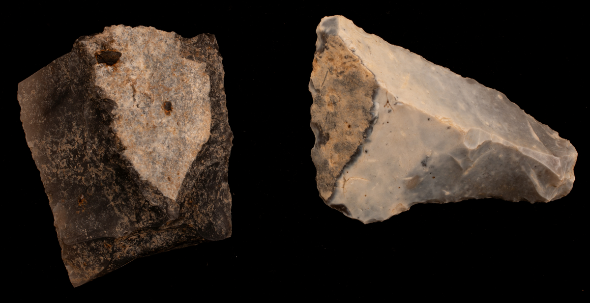 Ett rikt boplatsmaterial från mellanneolitikum. Materialet utgörs av:
Avslag och spånfragment, 202 st
Avslagsskrapa, 3 st
Dolkfragmeent, 1 st
Dubbelskrapa, 1 st
Keramik, mynning, dekorerad. 17 st
Keramik, buk dekorerad, 25 st
Keramik, buk, 27 st
Knacksten, 3 st
Knackstensfragment, 1 st
Kärna, 12 st
Malstensfragment, 1 st
Mikrospån, 1 st
Spånkärna, fragment, 8 st
Spånkärna, cylindrisk, 15 st
Spånpilspets, 7 st
Spånskrapor, 22 st
Sticklar, 4 st
Yxfragment bergart, 3 st
Yxfragment flinta, 9 st.
Slipsten, stor, 1 st

Benmaterial:
Fisk: tonfisk, torsk, lyrtorsk, gråsej, vitling, långa
Havsdäggdjur: Vitnosdelfin, tumlare, vikare, knubbsäl, gråsäl, grönlandssäl
Landvilt: älg, kronhjort, brunbjörn, bäver, hund/varg, vildsvin/tamgris
Tamdjur: nötkreatur, hund/varg, vildsvin/tamgris

Övrigt:
Mollusker, 2 askar
Kolprov, 1 ask