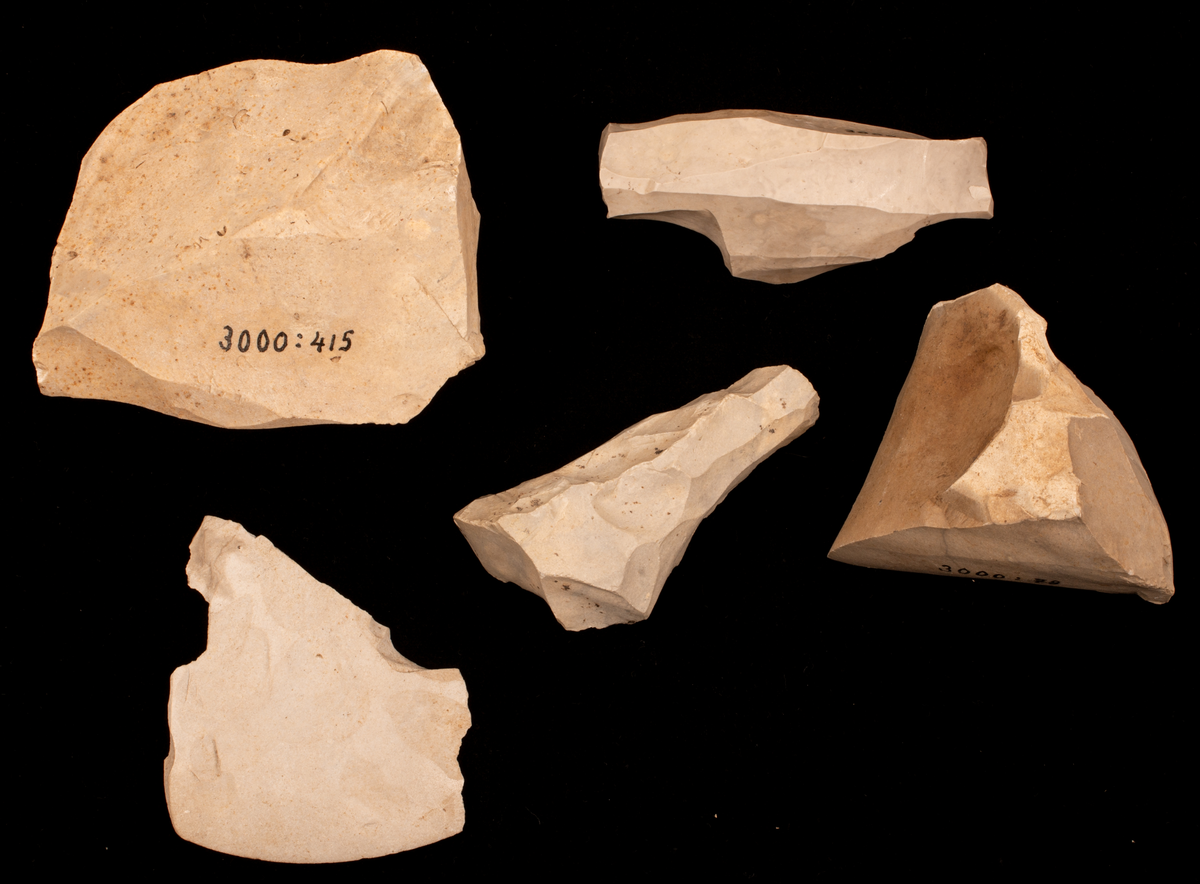 Ett rikt boplatsmaterial från mellanneolitikum. Materialet utgörs av:
Avslag och spånfragment, 202 st
Avslagsskrapa, 3 st
Dolkfragmeent, 1 st
Dubbelskrapa, 1 st
Keramik, mynning, dekorerad. 17 st
Keramik, buk dekorerad, 25 st
Keramik, buk, 27 st
Knacksten, 3 st
Knackstensfragment, 1 st
Kärna, 12 st
Malstensfragment, 1 st
Mikrospån, 1 st
Spånkärna, fragment, 8 st
Spånkärna, cylindrisk, 15 st
Spånpilspets, 7 st
Spånskrapor, 22 st
Sticklar, 4 st
Yxfragment bergart, 3 st
Yxfragment flinta, 9 st.
Slipsten, stor, 1 st

Benmaterial:
Fisk: tonfisk, torsk, lyrtorsk, gråsej, vitling, långa
Havsdäggdjur: Vitnosdelfin, tumlare, vikare, knubbsäl, gråsäl, grönlandssäl
Landvilt: älg, kronhjort, brunbjörn, bäver, hund/varg, vildsvin/tamgris
Tamdjur: nötkreatur, hund/varg, vildsvin/tamgris

Övrigt:
Mollusker, 2 askar
Kolprov, 1 ask