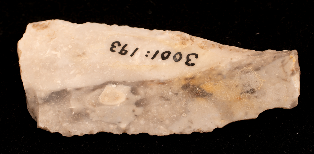 Ett rikt boplatsmaterial från mellanneolitikum. Materialet utgörs av:
Avslag och spånfragment, 202 st
Avslagsskrapa, 3 st
Dolkfragmeent, 1 st
Dubbelskrapa, 1 st
Keramik, mynning, dekorerad. 17 st
Keramik, buk dekorerad, 25 st
Keramik, buk, 27 st
Knacksten, 3 st
Knackstensfragment, 1 st
Kärna, 12 st
Malstensfragment, 1 st
Mikrospån, 1 st
Spånkärna, fragment, 8 st
Spånkärna, cylindrisk, 15 st
Spånpilspets, 7 st
Spånskrapor, 22 st
Sticklar, 4 st
Yxfragment bergart, 3 st
Yxfragment flinta, 9 st.
Slipsten, stor, 1 st

Benmaterial:
Fisk: tonfisk, torsk, lyrtorsk, gråsej, vitling, långa
Havsdäggdjur: Vitnosdelfin, tumlare, vikare, knubbsäl, gråsäl, grönlandssäl
Landvilt: älg, kronhjort, brunbjörn, bäver, hund/varg, vildsvin/tamgris
Tamdjur: nötkreatur, hund/varg, vildsvin/tamgris

Övrigt:
Mollusker, 2 askar
Kolprov, 1 ask