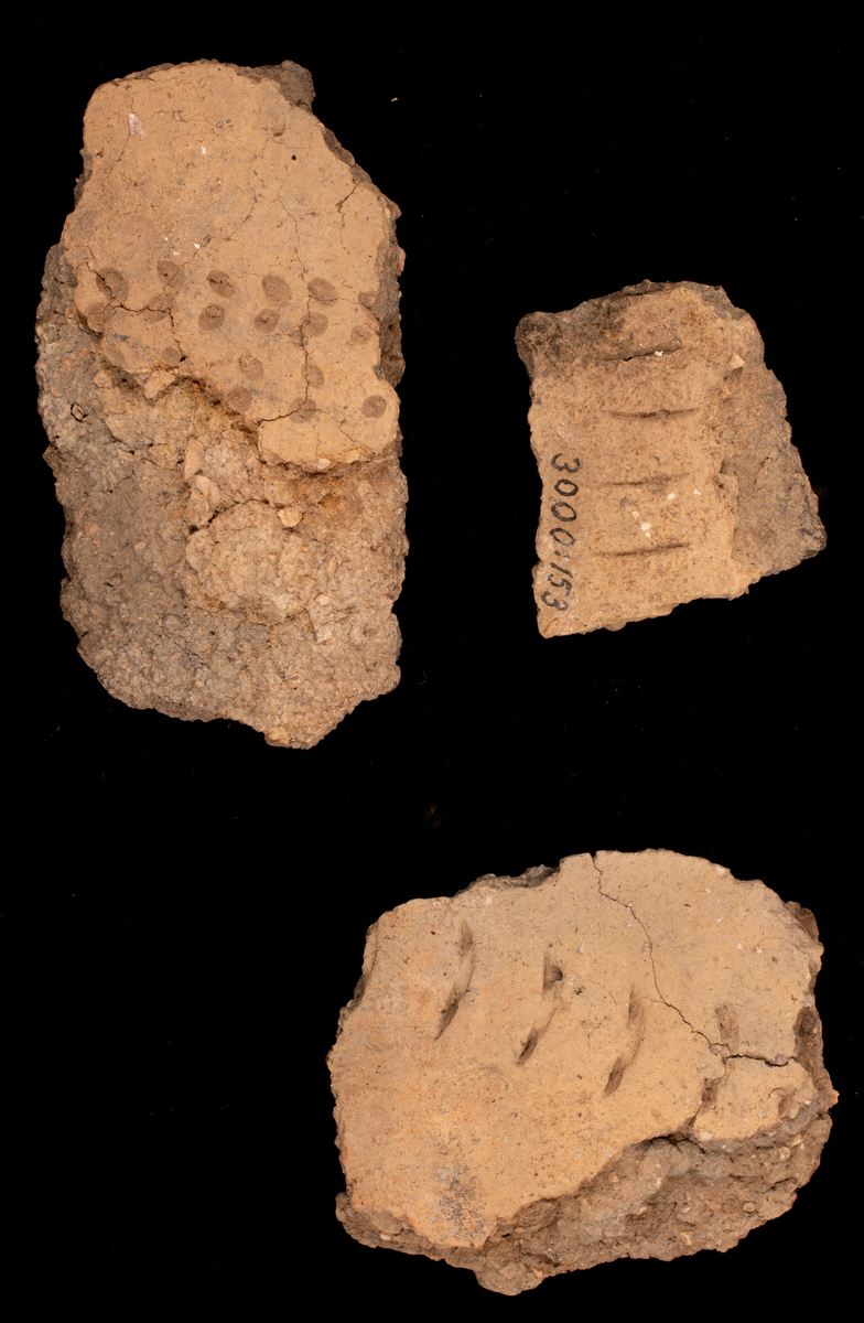Ett rikt boplatsmaterial från mellanneolitikum. Materialet utgörs av:
Avslag och spånfragment, 202 st
Avslagsskrapa, 3 st
Dolkfragmeent, 1 st
Dubbelskrapa, 1 st
Keramik, mynning, dekorerad. 17 st
Keramik, buk dekorerad, 25 st
Keramik, buk, 27 st
Knacksten, 3 st
Knackstensfragment, 1 st
Kärna, 12 st
Malstensfragment, 1 st
Mikrospån, 1 st
Spånkärna, fragment, 8 st
Spånkärna, cylindrisk, 15 st
Spånpilspets, 7 st
Spånskrapor, 22 st
Sticklar, 4 st
Yxfragment bergart, 3 st
Yxfragment flinta, 9 st.
Slipsten, stor, 1 st

Benmaterial:
Fisk: tonfisk, torsk, lyrtorsk, gråsej, vitling, långa
Havsdäggdjur: Vitnosdelfin, tumlare, vikare, knubbsäl, gråsäl, grönlandssäl
Landvilt: älg, kronhjort, brunbjörn, bäver, hund/varg, vildsvin/tamgris
Tamdjur: nötkreatur, hund/varg, vildsvin/tamgris

Övrigt:
Mollusker, 2 askar
Kolprov, 1 ask