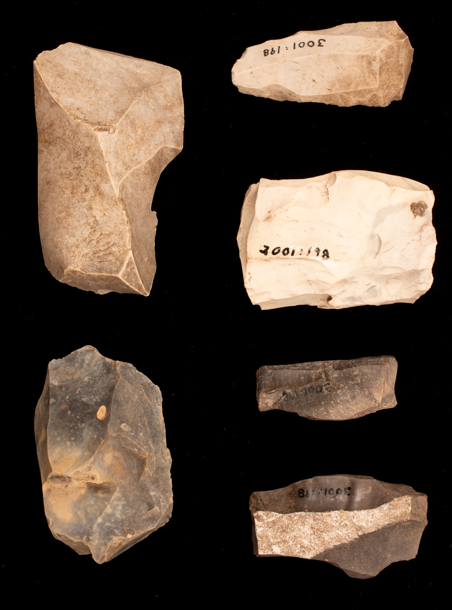 Ett rikt boplatsmaterial från mellanneolitikum. Materialet utgörs av:
Avslag och spånfragment, 202 st
Avslagsskrapa, 3 st
Dolkfragmeent, 1 st
Dubbelskrapa, 1 st
Keramik, mynning, dekorerad. 17 st
Keramik, buk dekorerad, 25 st
Keramik, buk, 27 st
Knacksten, 3 st
Knackstensfragment, 1 st
Kärna, 12 st
Malstensfragment, 1 st
Mikrospån, 1 st
Spånkärna, fragment, 8 st
Spånkärna, cylindrisk, 15 st
Spånpilspets, 7 st
Spånskrapor, 22 st
Sticklar, 4 st
Yxfragment bergart, 3 st
Yxfragment flinta, 9 st.
Slipsten, stor, 1 st

Benmaterial:
Fisk: tonfisk, torsk, lyrtorsk, gråsej, vitling, långa
Havsdäggdjur: Vitnosdelfin, tumlare, vikare, knubbsäl, gråsäl, grönlandssäl
Landvilt: älg, kronhjort, brunbjörn, bäver, hund/varg, vildsvin/tamgris
Tamdjur: nötkreatur, hund/varg, vildsvin/tamgris

Övrigt:
Mollusker, 2 askar
Kolprov, 1 ask