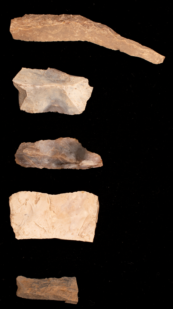 Ett rikt boplatsmaterial från mellanneolitikum. Materialet utgörs av:
Avslag och spånfragment, 202 st
Avslagsskrapa, 3 st
Dolkfragmeent, 1 st
Dubbelskrapa, 1 st
Keramik, mynning, dekorerad. 17 st
Keramik, buk dekorerad, 25 st
Keramik, buk, 27 st
Knacksten, 3 st
Knackstensfragment, 1 st
Kärna, 12 st
Malstensfragment, 1 st
Mikrospån, 1 st
Spånkärna, fragment, 8 st
Spånkärna, cylindrisk, 15 st
Spånpilspets, 7 st
Spånskrapor, 22 st
Sticklar, 4 st
Yxfragment bergart, 3 st
Yxfragment flinta, 9 st.
Slipsten, stor, 1 st

Benmaterial:
Fisk: tonfisk, torsk, lyrtorsk, gråsej, vitling, långa
Havsdäggdjur: Vitnosdelfin, tumlare, vikare, knubbsäl, gråsäl, grönlandssäl
Landvilt: älg, kronhjort, brunbjörn, bäver, hund/varg, vildsvin/tamgris
Tamdjur: nötkreatur, hund/varg, vildsvin/tamgris

Övrigt:
Mollusker, 2 askar
Kolprov, 1 ask
