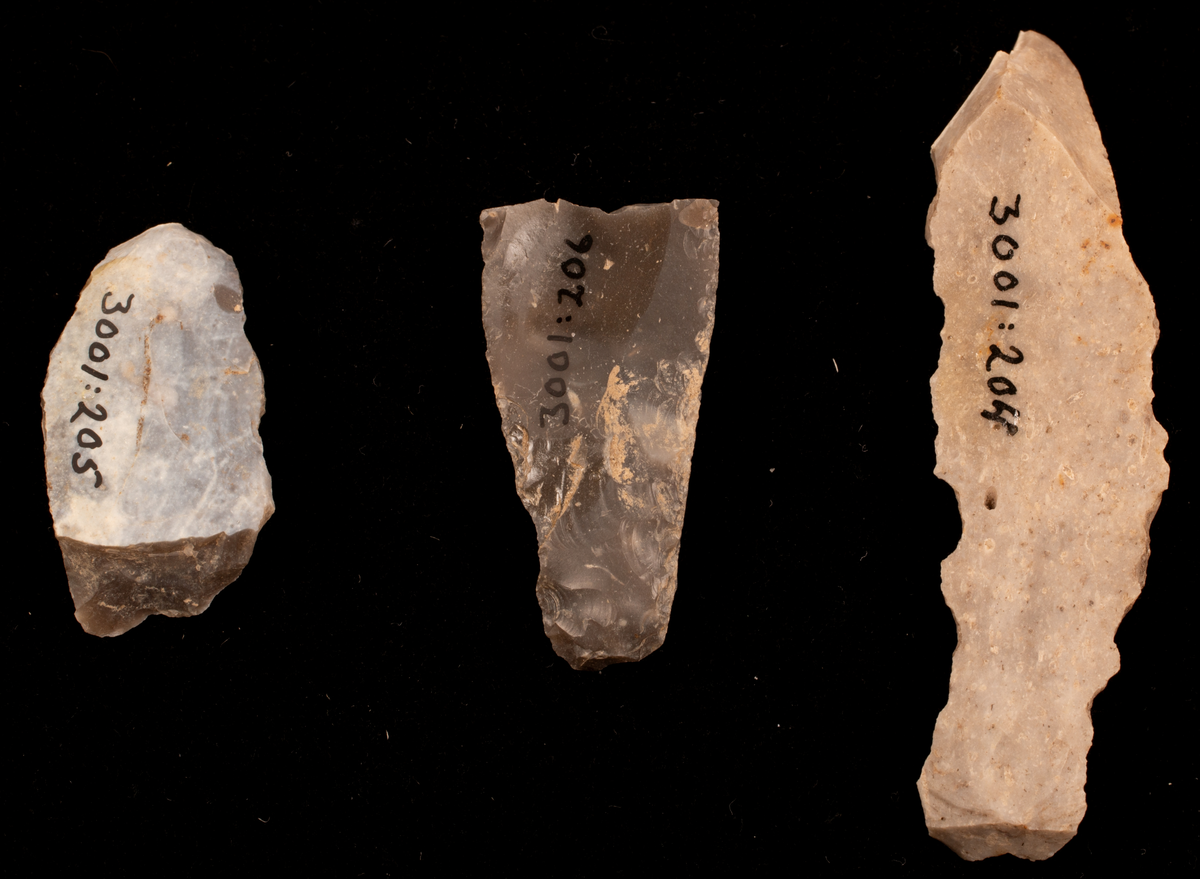 Ett rikt boplatsmaterial från mellanneolitikum. Materialet utgörs av:
Avslag och spånfragment, 202 st
Avslagsskrapa, 3 st
Dolkfragmeent, 1 st
Dubbelskrapa, 1 st
Keramik, mynning, dekorerad. 17 st
Keramik, buk dekorerad, 25 st
Keramik, buk, 27 st
Knacksten, 3 st
Knackstensfragment, 1 st
Kärna, 12 st
Malstensfragment, 1 st
Mikrospån, 1 st
Spånkärna, fragment, 8 st
Spånkärna, cylindrisk, 15 st
Spånpilspets, 7 st
Spånskrapor, 22 st
Sticklar, 4 st
Yxfragment bergart, 3 st
Yxfragment flinta, 9 st.
Slipsten, stor, 1 st

Benmaterial:
Fisk: tonfisk, torsk, lyrtorsk, gråsej, vitling, långa
Havsdäggdjur: Vitnosdelfin, tumlare, vikare, knubbsäl, gråsäl, grönlandssäl
Landvilt: älg, kronhjort, brunbjörn, bäver, hund/varg, vildsvin/tamgris
Tamdjur: nötkreatur, hund/varg, vildsvin/tamgris

Övrigt:
Mollusker, 2 askar
Kolprov, 1 ask