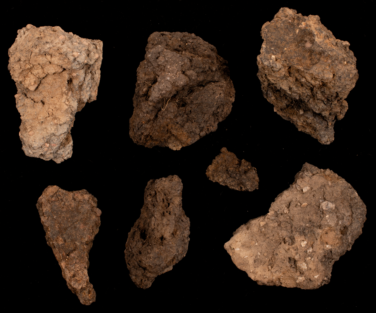 Ett rikt boplatsmaterial från mellanneolitikum. Materialet utgörs av:
Avslag och spånfragment, 202 st
Avslagsskrapa, 3 st
Dolkfragmeent, 1 st
Dubbelskrapa, 1 st
Keramik, mynning, dekorerad. 17 st
Keramik, buk dekorerad, 25 st
Keramik, buk, 27 st
Knacksten, 3 st
Knackstensfragment, 1 st
Kärna, 12 st
Malstensfragment, 1 st
Mikrospån, 1 st
Spånkärna, fragment, 8 st
Spånkärna, cylindrisk, 15 st
Spånpilspets, 7 st
Spånskrapor, 22 st
Sticklar, 4 st
Yxfragment bergart, 3 st
Yxfragment flinta, 9 st.
Slipsten, stor, 1 st

Benmaterial:
Fisk: tonfisk, torsk, lyrtorsk, gråsej, vitling, långa
Havsdäggdjur: Vitnosdelfin, tumlare, vikare, knubbsäl, gråsäl, grönlandssäl
Landvilt: älg, kronhjort, brunbjörn, bäver, hund/varg, vildsvin/tamgris
Tamdjur: nötkreatur, hund/varg, vildsvin/tamgris

Övrigt:
Mollusker, 2 askar
Kolprov, 1 ask