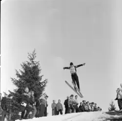 Skirenn-hopp. «Sangerbakken» Lille-Ask i Gjerdrum.
