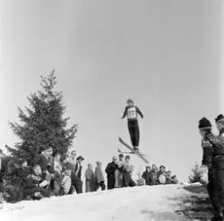 Skirenn-hopp. «Sangerbakken» Lille-Ask i Gjerdrum.