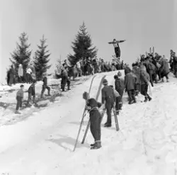 Skirenn-hopp. «Sangerbakken» Lille-Ask i Gjerdrum.