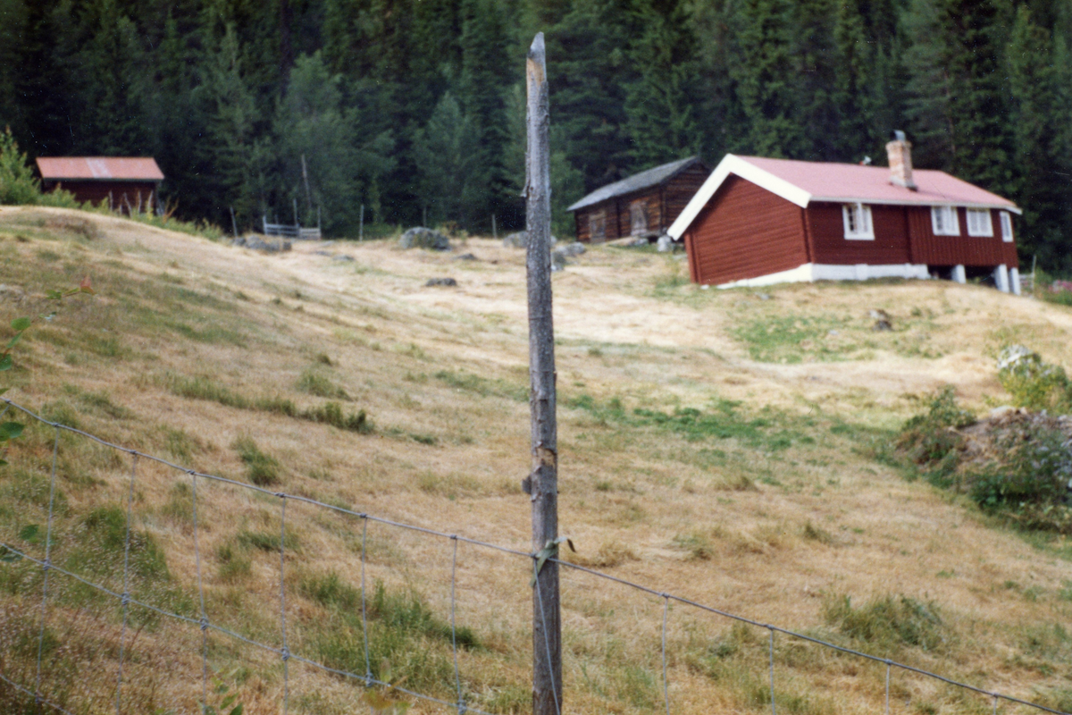 Bilde av mitre Fladalen i Nesbyen.