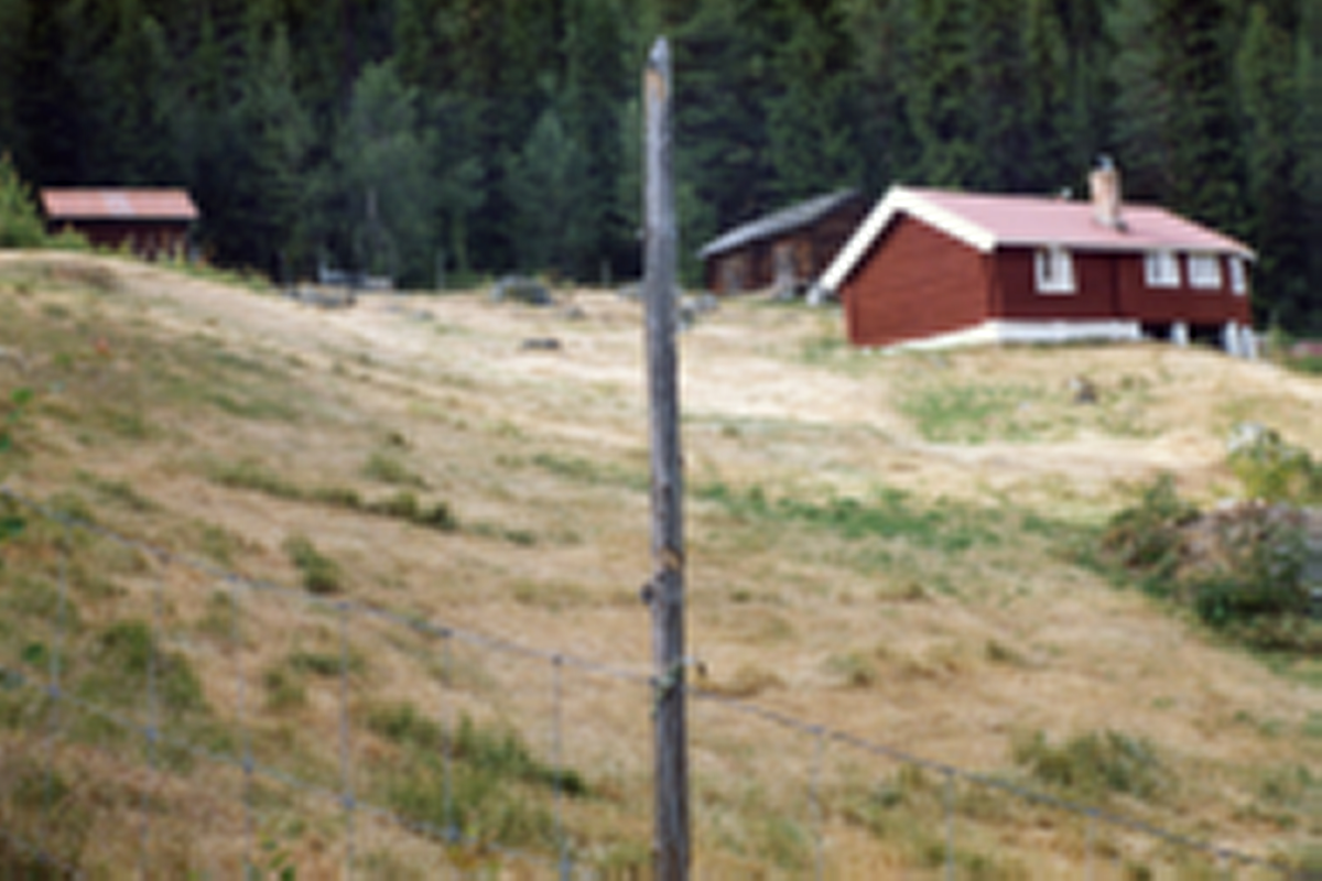 Bilde av mitre Fladalen i Nesbyen.