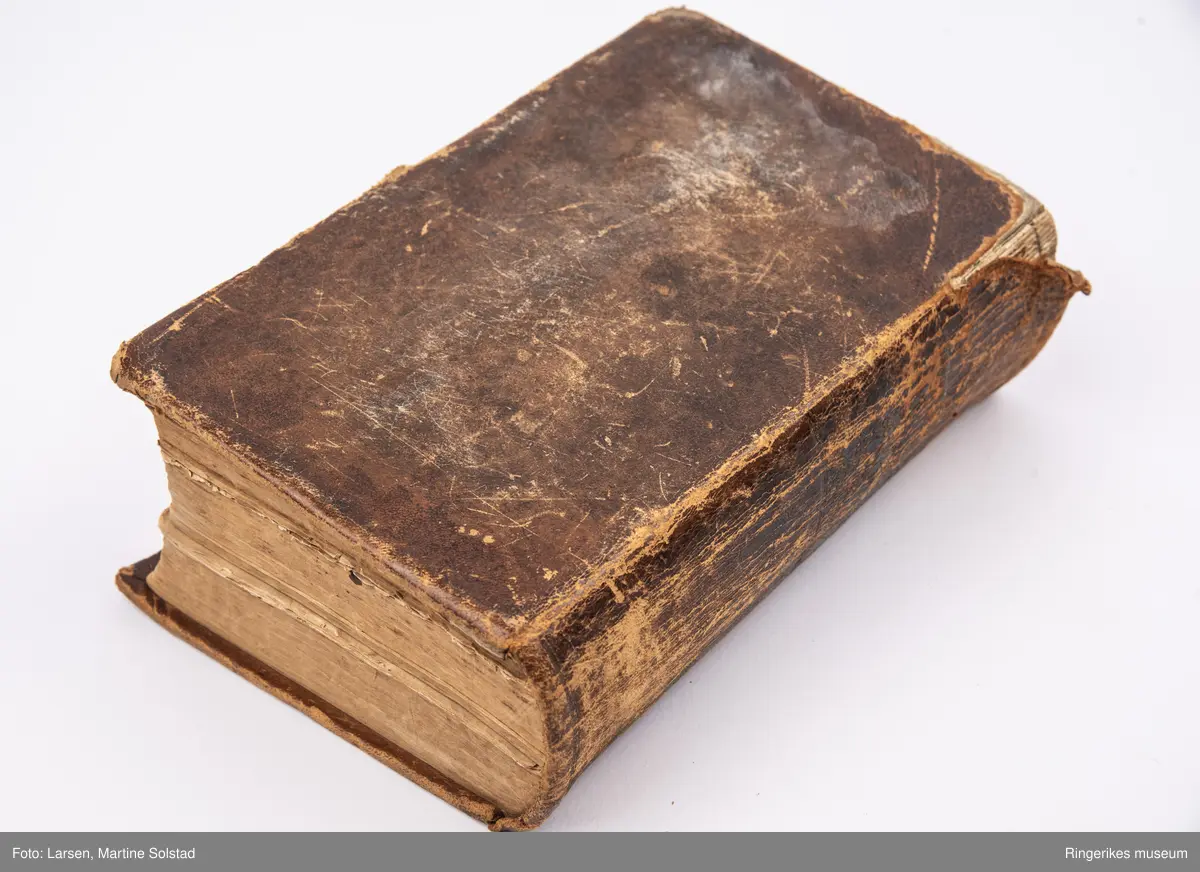 Bibel trukket i skinn. Trykket i 1854 i Christiania.