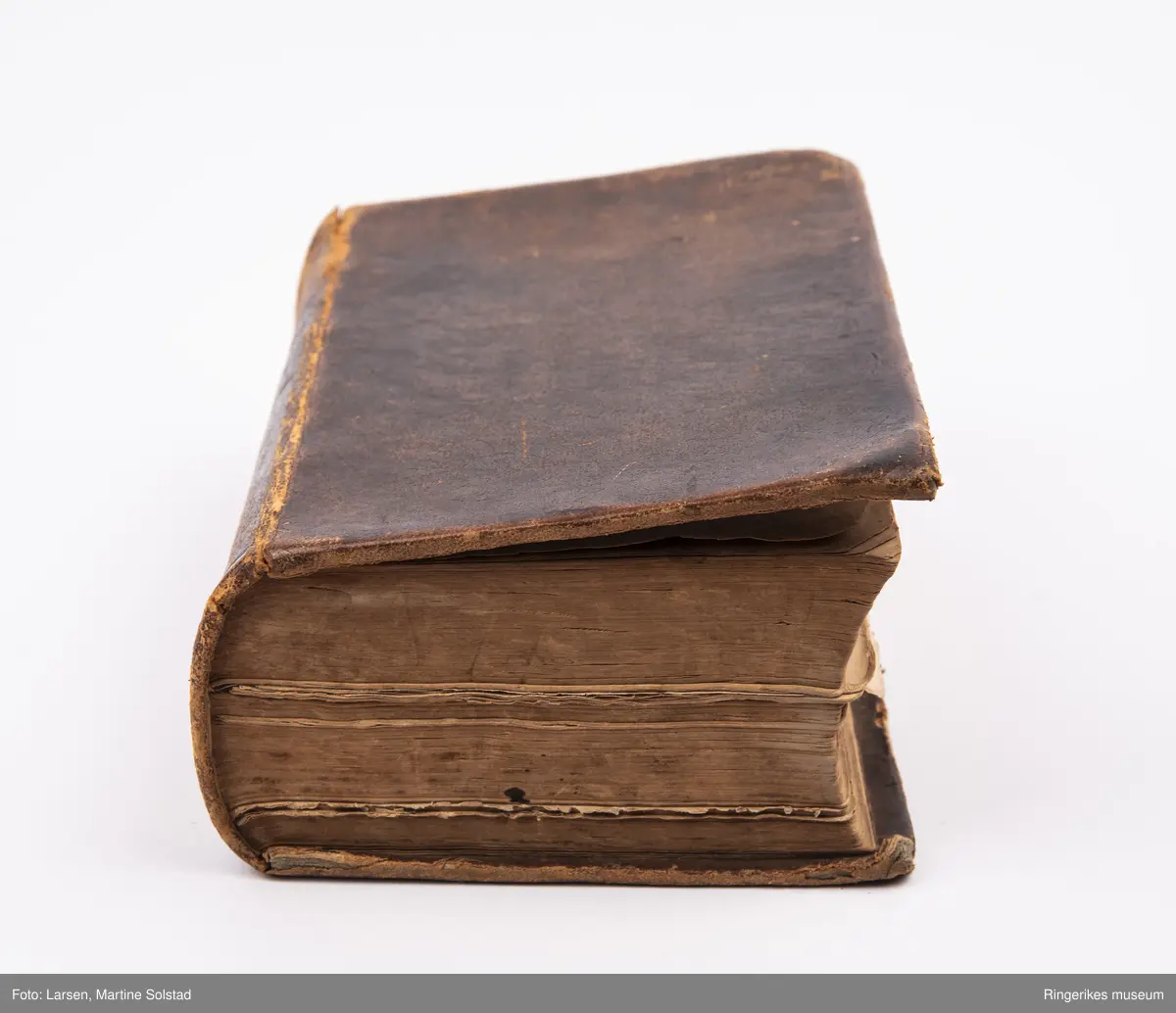 Bibel trukket i skinn. Trykket i 1854 i Christiania.