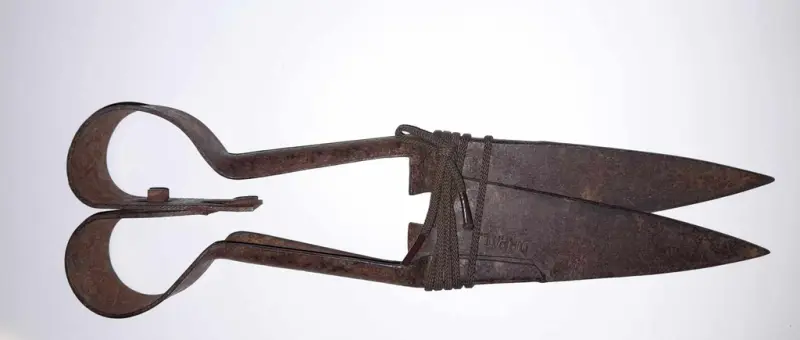 main article image