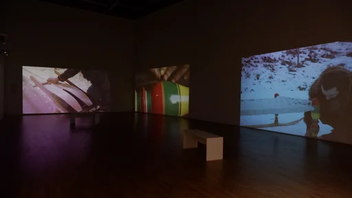 Sayed Sattar Hasan - Hasansens kjelke